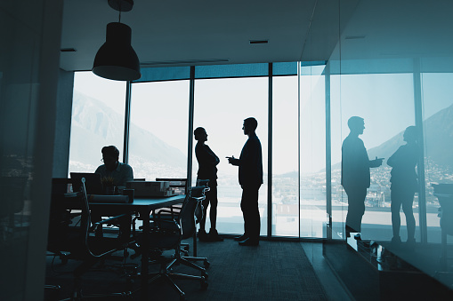Portfolio Advisory - Insignium Group - We provide honest and independent asset management services tailored to the needs of our clients - Insignium Wealth Management AG 1